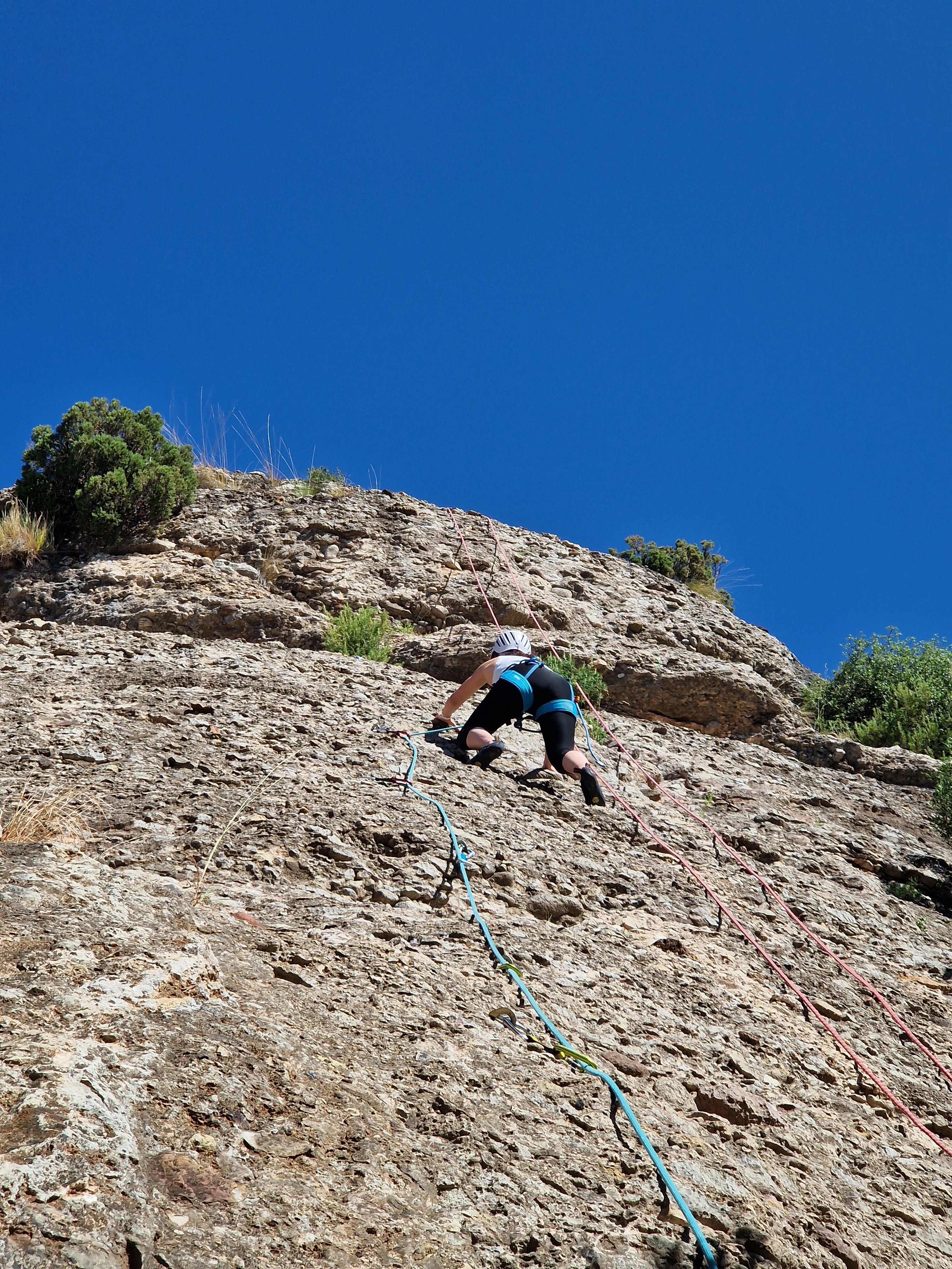 Imagen de actividad 10